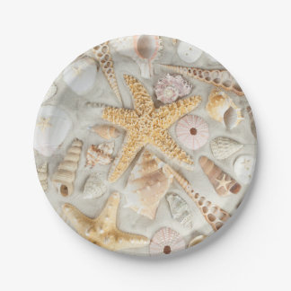 Sea Shells Dinner Plates, Sea Shells Party Plates