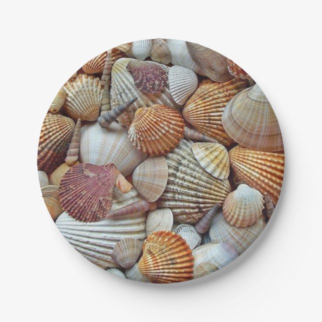 Sea Shells Paper Plate (Front)