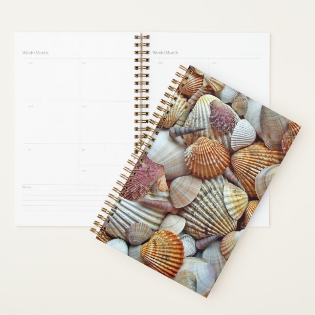 Sea Shells Planner (Display)