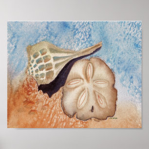 Sea Shells Poster