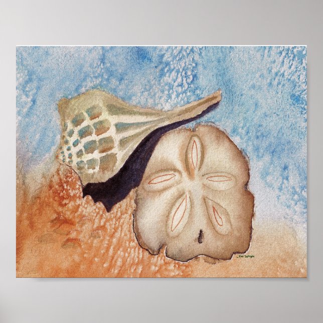Sea Shells Poster (Front)