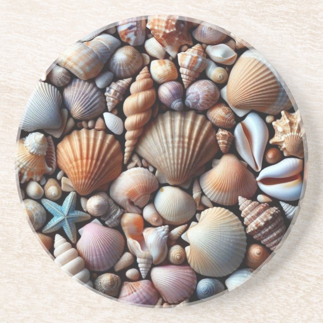 Sea Shells Sandstone Coaster (Front)