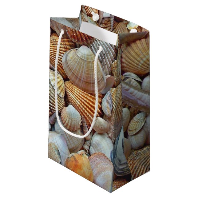 Sea Shells Small Gift Bag (Front Angled)