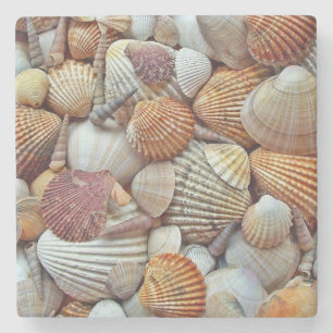 Sea Shells Stone Coaster