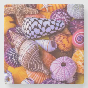 Sea Shells Stone Coaster