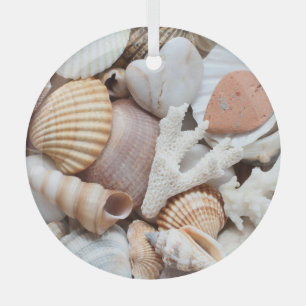 Sea Shells Stones Coral Background Glass Tree Decoration