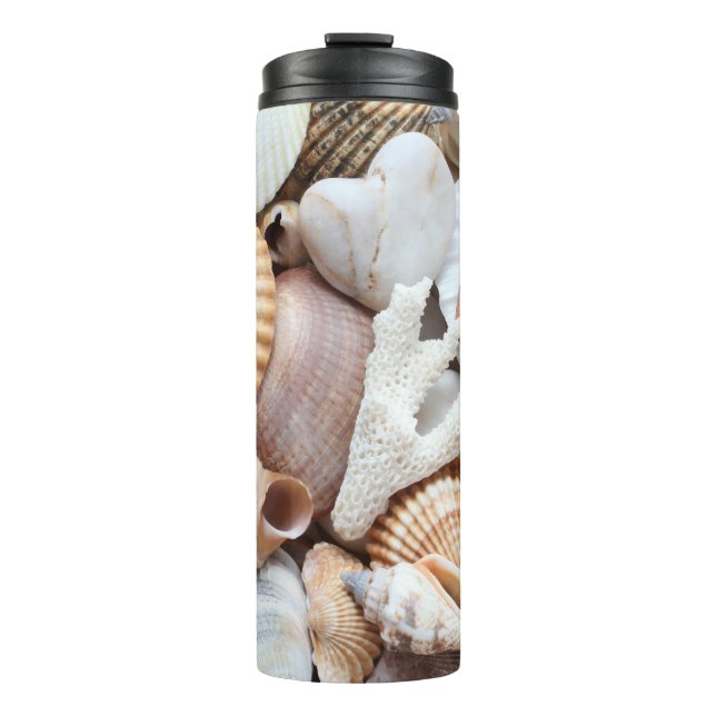 Sea Shells Stones Coral Background Thermal Tumbler (Front)