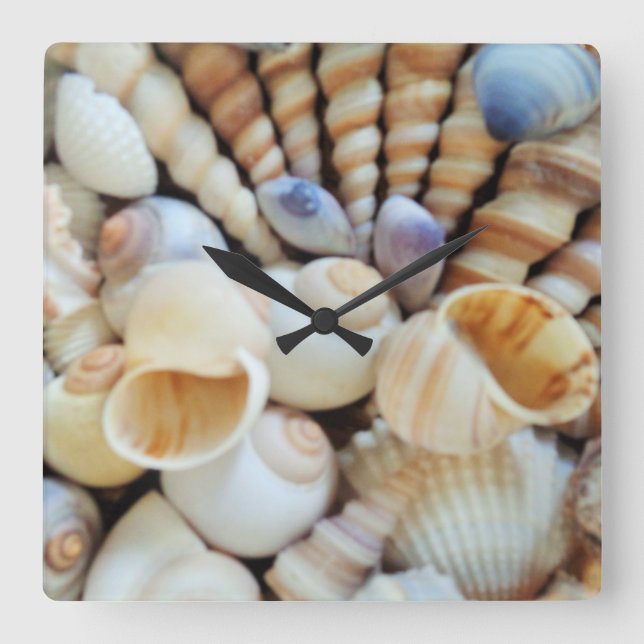 Sea Shells, Summer Beach Exotic Tropical Clock (Front)