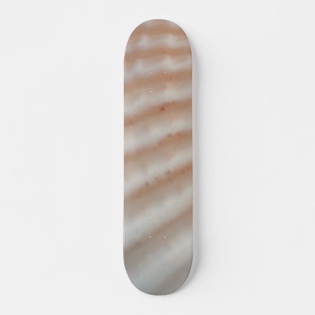 Sea Shells Summer Beach Exotic Tropical Skateboard (Front)