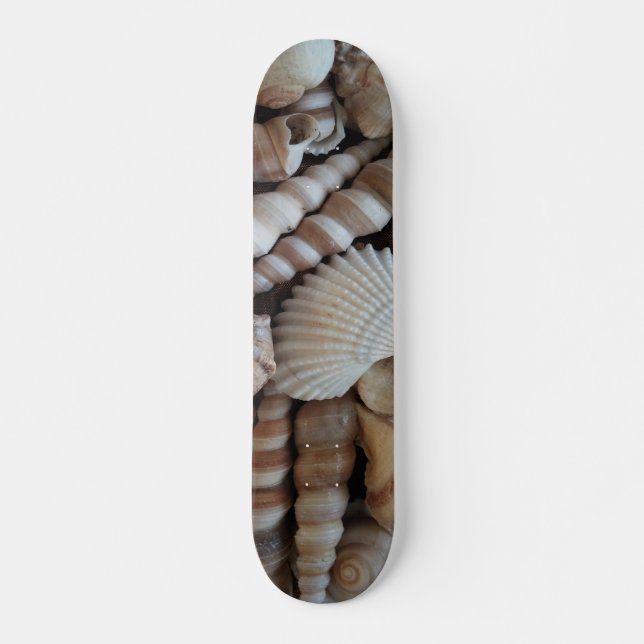 Sea Shells Summer Beach Exotic Tropical Skateboard (Front)