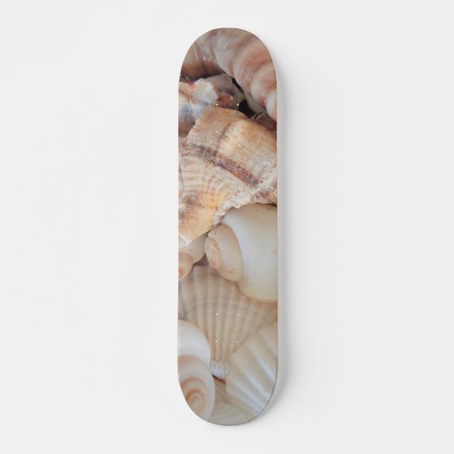 Sea Shells Summer Beach Exotic Tropical Skateboard (Front)