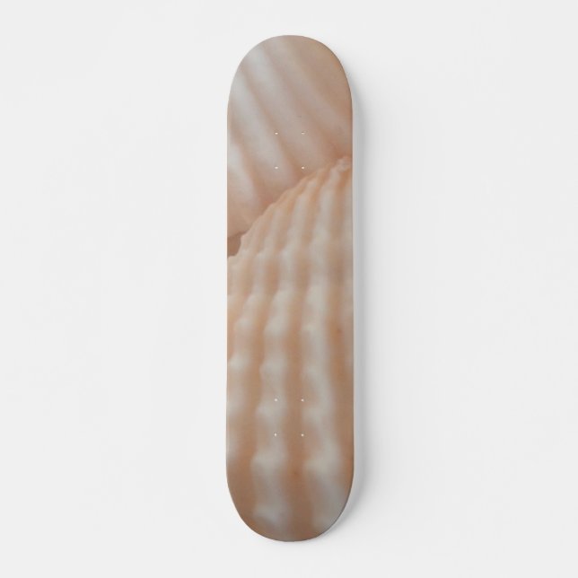 Sea Shells Summer Beach Exotic Tropical Skateboard (Front)