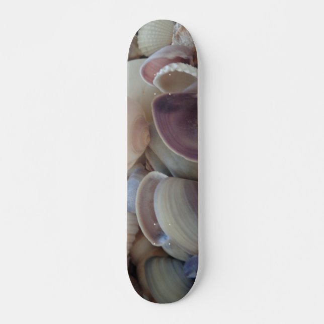 Sea Shells Summer Beach Exotic Tropical Skateboard (Front)