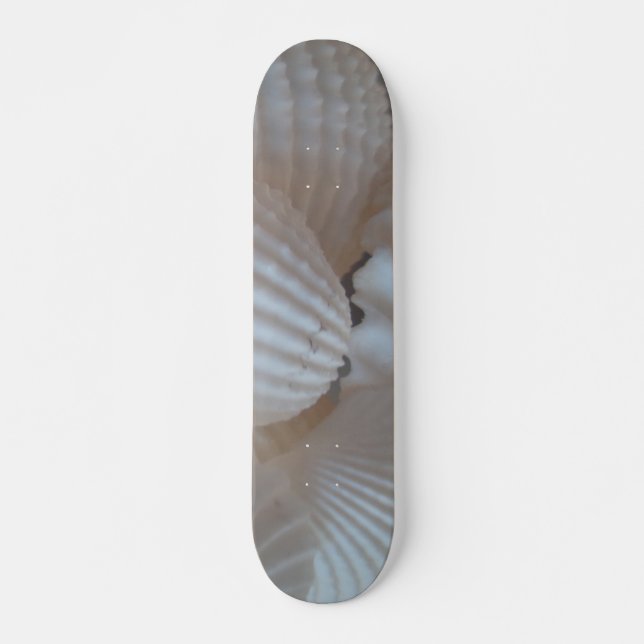 Sea Shells Summer Beach Exotic Tropical Skateboard (Front)