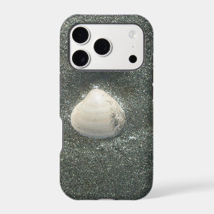 Sea shore shells Hakuna Matata.JPG