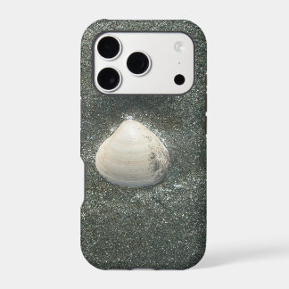 Sea shore shells Hakuna Matata.JPG