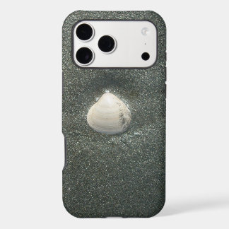 Sea shore shells Hakuna Matata.JPG