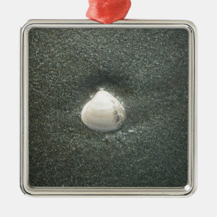 Sea shore shells Hakuna Matata.JPG Metal Tree Decoration