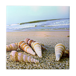Sea Side Shells tile
