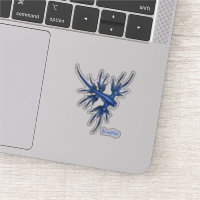 Sea slug blue dragon illustration