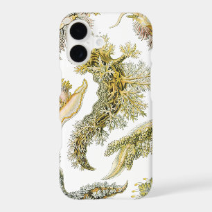 Sea Slugs by Ernst Haeckel, Vintage Nudibranchia