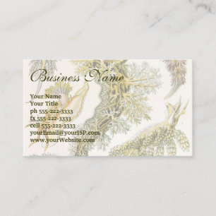 Sea Slugs by Ernst Haeckel, Vintage Nudibranchia Business Card
