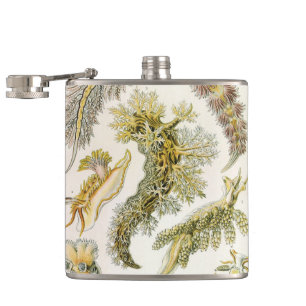 Sea Slugs by Ernst Haeckel, Vintage Nudibranchia Hip Flask