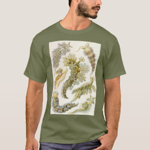 Sea Slugs by Ernst Haeckel, Vintage Nudibranchia T-Shirt