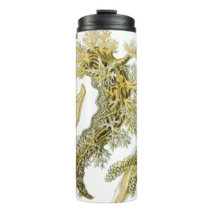 Sea Slugs by Ernst Haeckel, Vintage Nudibranchia Thermal Tumbler