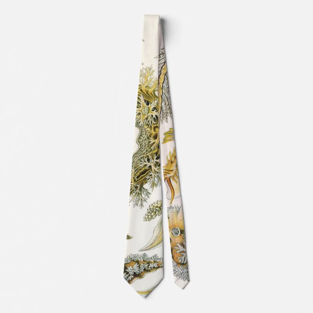 Sea Slugs by Ernst Haeckel, Vintage Nudibranchia Tie (Front)