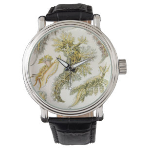 Sea Slugs by Ernst Haeckel, Vintage Nudibranchia Watch