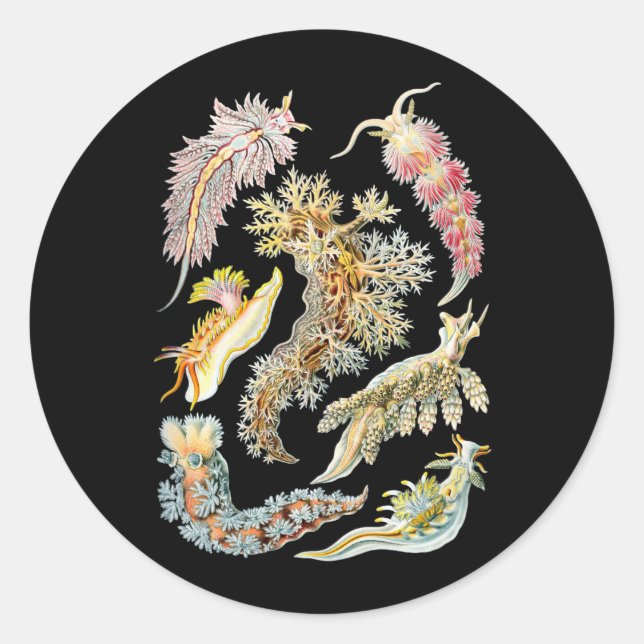 Sea slugs classic round sticker (Front)