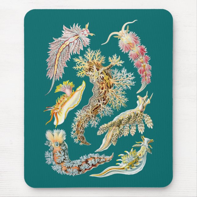 Sea slugs mouse mat (Front)
