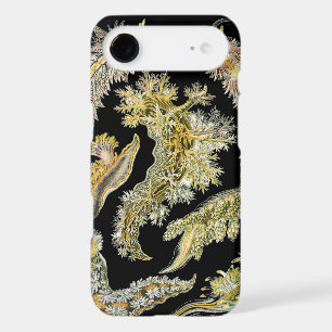 Sea Slugs, Snails by Ernst Haeckel, Vintage Animal