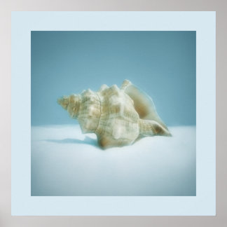 Sea Snail - poster