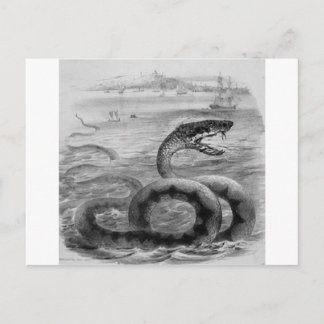 Sea Snake/Serpent Postcard