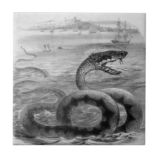 Sea Snake/Serpent Tile (Front)