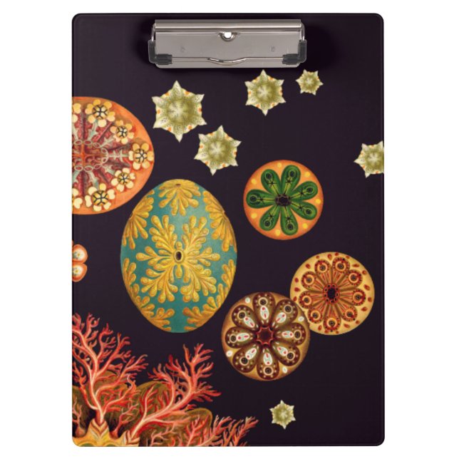 Sea Squirt Remix Clipboard (Front)