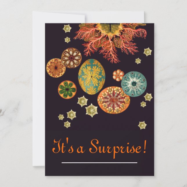 Sea Squirt Remix Invitation (Front)