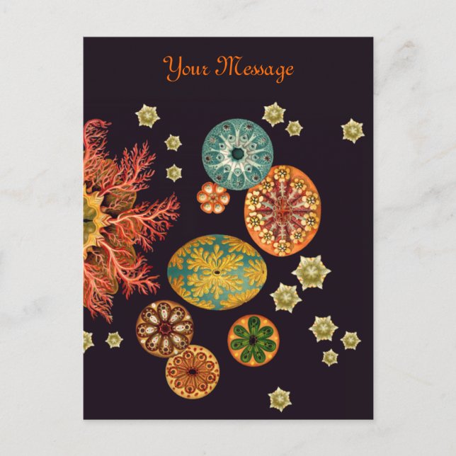 Sea Squirt Remix Postcard (Front)