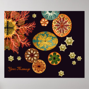 Sea Squirt Remix Poster