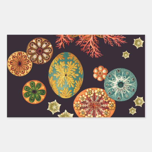 Sea Squirt Remix Stickers (Front)