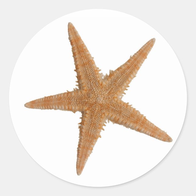Sea star classic round sticker (Front)