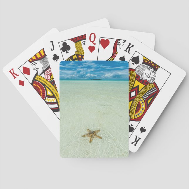 Sea star in shallow water, Palau Playing Cards (Back)