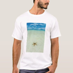 Sea star in shallow water, Palau T-Shirt