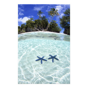 Sea stars, Rock Islands, Palau 2 Photo Print