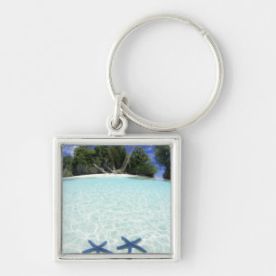Sea stars, Rock Islands, Palau Key Ring