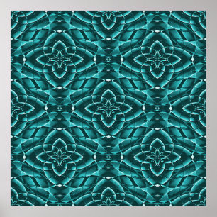 Sea succulents.... poster