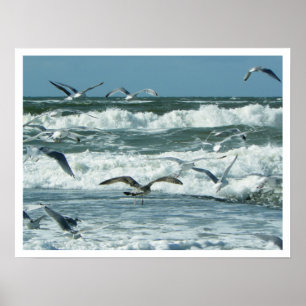 Sea, Surf, Seagulls, Blue Sky Poster