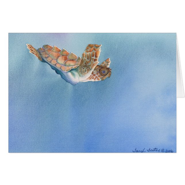 sea turtle (Front Horizontal)